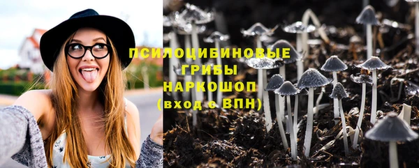 соль ск Апатиты
