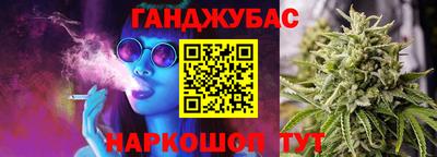 молекула духа Будённовск