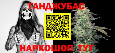 молекула духа Будённовск