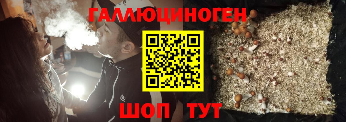 Галлюциногенные грибы мухоморы Энгельс