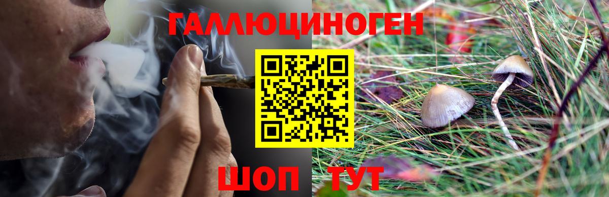 Энгельс  A PVP СОЛЬ кристаллы  ГАШИШ  Метамфетамин  Меф   Cocaine  Бошки Шишки  MDMA 